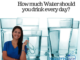 Health Benefits of Water or Benefits of Drinking Water | HealthLair