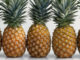 Health Benefits of Pineapple | Benefits of Drinking Pineapple Juice