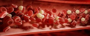 sugar in blood vessels sugar in blood vessels