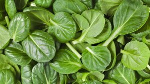 Green Vegetables Benefits