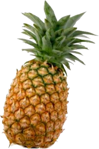 Pineapples Pineapples