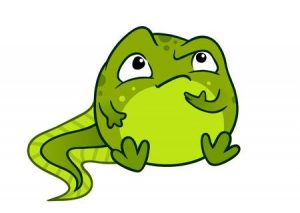 thinking frog