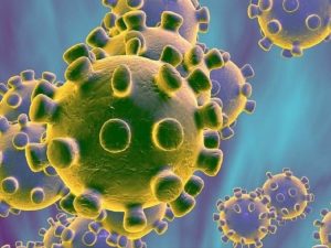 Coronavirus