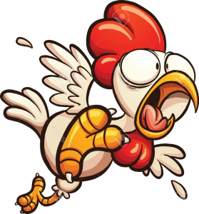 running chickens