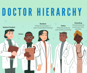 Doctor hierarchy - Family Medicine Residency Program