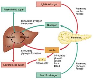 mellitus